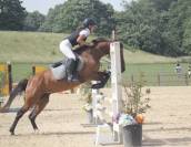 Super pony in vendita del 2011
