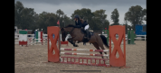 Super pony in vendita del 2011