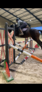 CHEVAL SPORT LOISIR