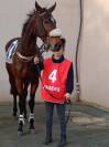 Beau cheval de 5 ans pour bon cavalier