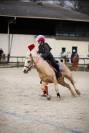 Caballo castrado Welsh Poni (Sección B) En venta 2014 Palomino