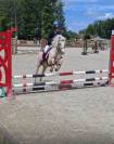 Caballo castrado Welsh Poni (Sección B) En venta 2014 Palomino
