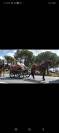 Se vendo caballo noble montado y enganchado.