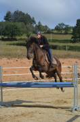 Cours particuliers équitation 