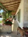 Maison type Mas Provençal idéal chevaux