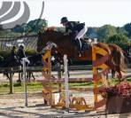 HONGRE 7 ans SF Top Origine Casallo x Baloubet du Rouet