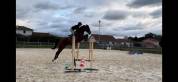 A vendre Jument 7 ans Top Origine Stakkato x Kannan