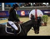 A vendre Ponette SF Top Origine Quinoto Bois Margot 
