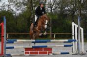 Belle ponette de 6 ans, facile, sortie sur 1,10/1,15 m
