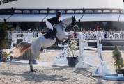 Hongre 10ans pour 135/140