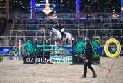Hongre 10ans pour 135/140