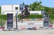 Top 7ans par Bisquet Balou X Cascavelle 