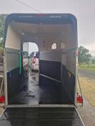 Van oblic gold xl cheval liberté 