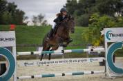 A louer Glam Star du Vassal