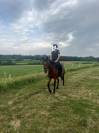 Poney d’avenir 
