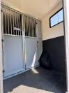 Horsebox HGV AP Petit Renault Master 2020 Used