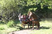 Coche enganches - Break - Otra marca - marathon ralongé tourisme RANDO 