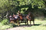 Coche enganches - Break - Otra marca - marathon ralongé tourisme RANDO 