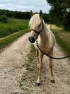 Ponette C 2024 