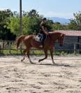 Joli SF 4 ans