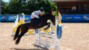 Jument Welsh K 5 ans