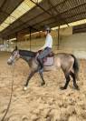 Ponette 4 ans a exploiter 