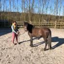 pouliche 75% Camargue 