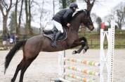 Jument de sport/loisir