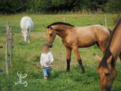 POULAIN PSL PP TAILLE EXCEPTIONNELLE TOP GENETIQUE