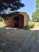 Fermette rénovée avec installation pour vos chevaux 