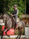 Domar caballos