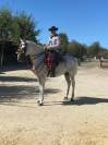 Domar caballos