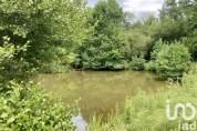 Equestrian property  Orne