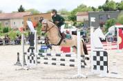 Location poney de sport 
