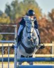 poney de sport à louer