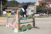 poney de sport à louer