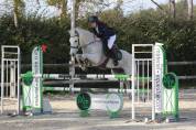 poney de sport à louer