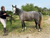 Ponette de sport de 3 ans