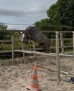 Ponette de sport de 3 ans