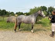 Ponette de sport de 3 ans