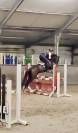 À VENDRE — Ponette D d’exception pour le sport 