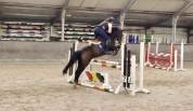 À VENDRE — Ponette D d’exception pour le sport 