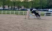 À VENDRE — Ponette D d’exception pour le sport 
