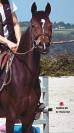 À VENDRE — Ponette D d’exception pour le sport 
