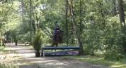 À VENDRE — Ponette D d’exception pour le sport 