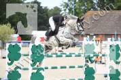 Hongre de 3 ans par Pegase Van’t Ruytershof
