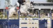 Hongre de 3 ans par Pegase Van’t Ruytershof