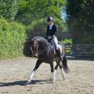 Magnifique Hanovrienne 11 ans