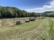 Pension paddock et pré