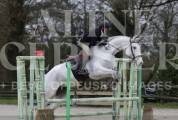 Cheval Selle Français – 8 ans par Andiamo Semilly